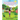 The Adventures of Little Miss Blackberry: "Mommyisms"