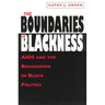 The Boundaries of Blackness: AIDS and the Breakdown of Black Politics