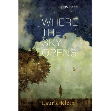 Where the Sky Opens: A Partial Cosmography