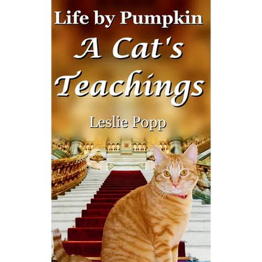 Life by Pumpkin: A Cat's Teachings