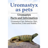 Uromastyx as pets. Uromastyx Facts and Information. Uromastyx Care, Behavior, Diet, Interaction, Costs and Health.