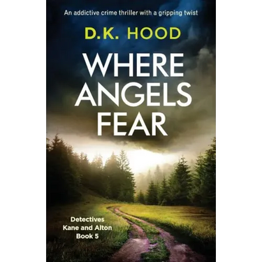 Where Angels Fear: An addictive crime thriller with a gripping twist