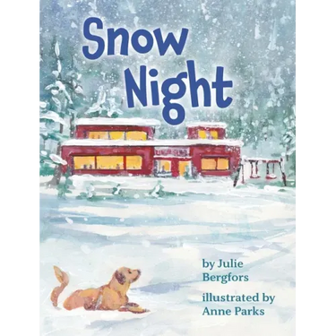 Snow Night