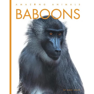 Baboons