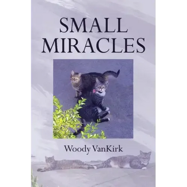 Small Miracles
