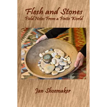Flesh and Stones: Field Notes from a Finite World