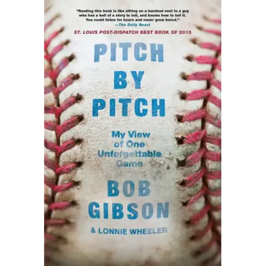 Pitch by Pitch: My View of One Unforgettable Game