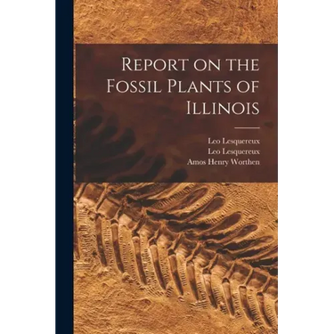 Report on the Fossil Plants of Illinois