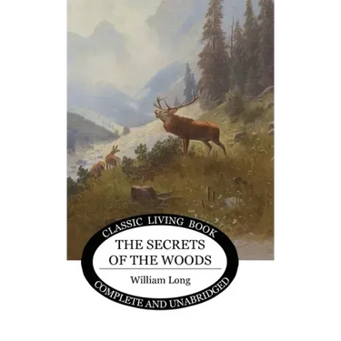 Secrets of the Woods