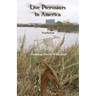 Live Pterosaurs in America: Not extinct, flying creatures of cryptozoology that some call pterodactyls or flying dinosaurs or prehistoric birds