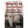 Immigration Structures and Immigrant Lives: An Introduction to the Us Experience