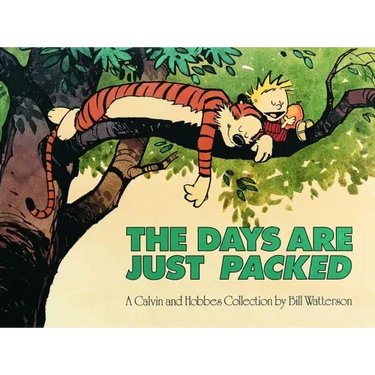 The Days Are Just Packed: A Calvin and Hobbes Collection Volume 9