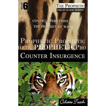 Prophetic Counter Insurgence: Covert Operations - The Prophet at War