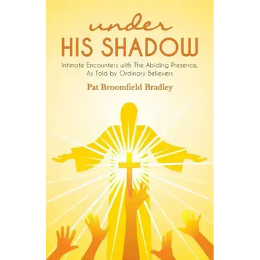 under HIS SHADOW: Intimate Encounters withThe Abiding Presence, As Told by Ordinary Believers