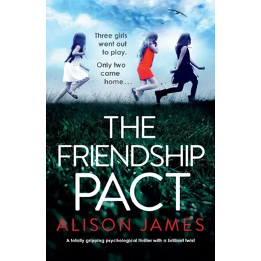 The School Friend: A totally gripping psychological thriller with a brilliant twist