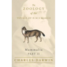 Mammalia - Part II - The Zoology of the Voyage of H.M.S Beagle; Under the Command of Captain Fitzroy - During the Years 1832 to 1836