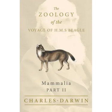 Mammalia - Part II - The Zoology of the Voyage of H.M.S Beagle; Under the Command of Captain Fitzroy - During the Years 1832 to 1836