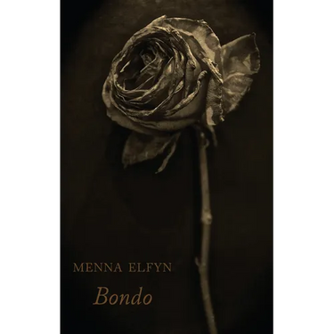 Bondo
