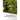 Environmental Monitoring and Control