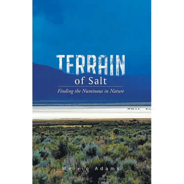 Terrain of Salt