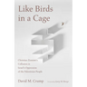 Like Birds in a Cage: Christian Zionism's Collusion in Israel's Oppression of the Palestinian People