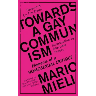 Towards a Gay Communism: Elements of a Homosexual Critique