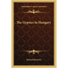 The Gypsies in Hungary