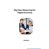 Big Data: Measuring the Digital Economy
