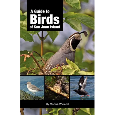 A Guide to Birds of San Juan Island