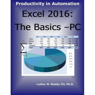 Excel 2016: The Basics - PC