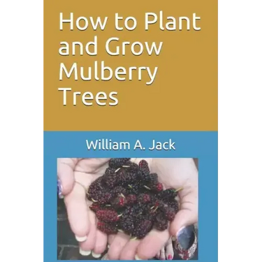 How to Plant and Grow Mulberry Trees