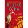 Beijing Coma
