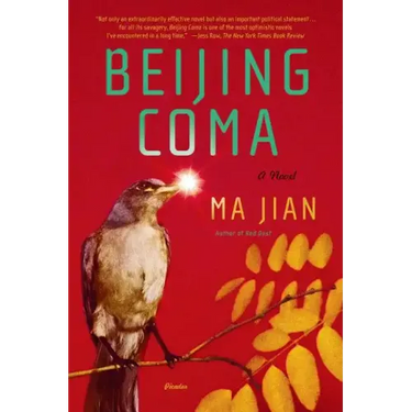 Beijing Coma