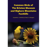 Common Birds of The Brinton Museum and Bighorn Mountains Foothills