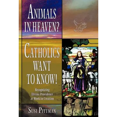 Animals in Heaven?: Catholics Want to Know!