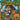 The Adventures of Backpacker Billy & Shave: Backpacker Billy and the Hawaiian Lion