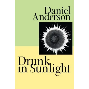 Drunk in Sunlight