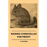 Raising Chinchillas For Profit