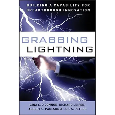 Grabbing Lightning: Building a Capability for Breakthrough Innovation