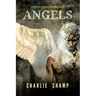 Angels: A Biblical School of Living Light