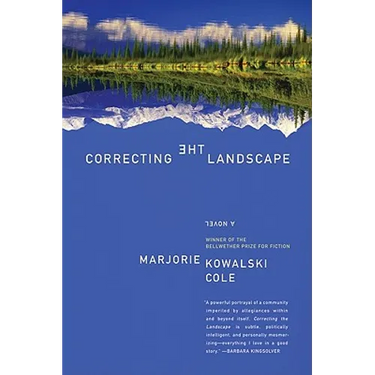 Correcting the Landscape
