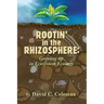 Rootin' in the Rhizosphere: Growing up in Ecosystem Ecology