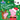 Merry Christmas, Peppa! (Peppa Pig)
