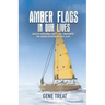 AMBER FLAGS IN OUR LIVES - Negative Behavioral Traits that Compromise Our Abiding Relationship with Jesus