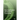 The Contribution of Food Oral Processing