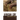 African Cry