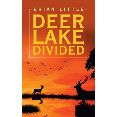 Deer Lake Divided