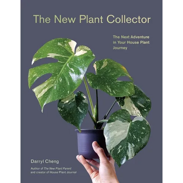 The New Plant Collector: The Next Adventure in Your House Plant Journey
