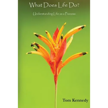 What Does Life Do?: Understanding Life as a Process