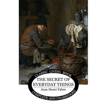 The Secret of Everyday Things